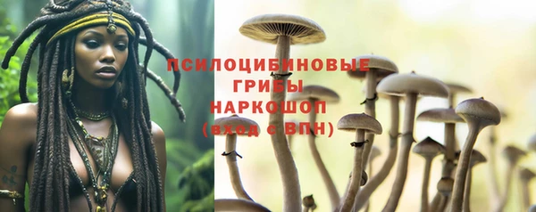 не бодяженный Белокуриха
