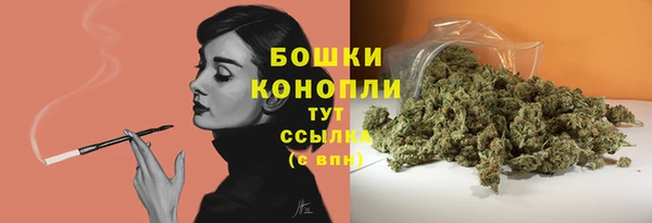 не бодяженный Белокуриха