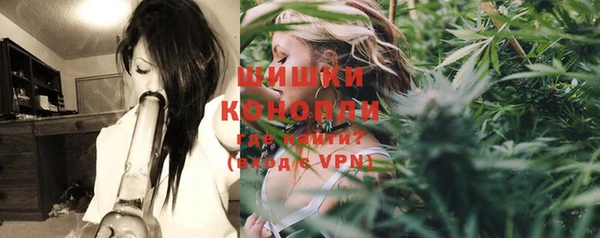 не бодяженный Белокуриха