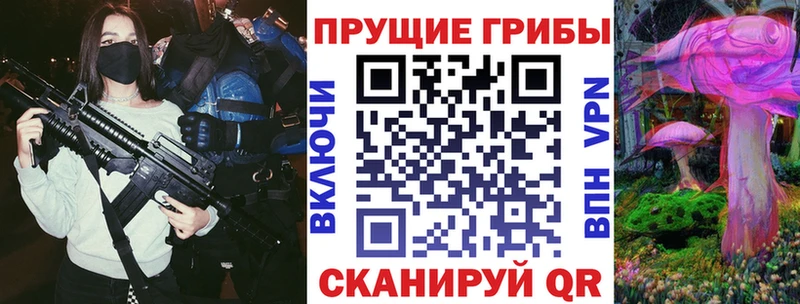 Купить где  Семёнов  Галлюциногенные грибы Psilocybine cubensis 